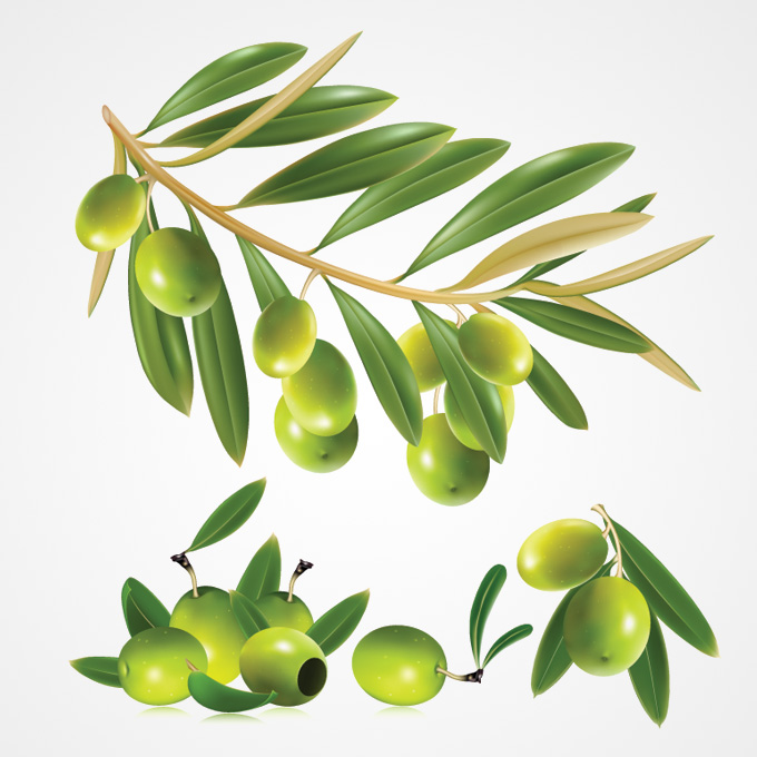 clipart gratuit olives - photo #40