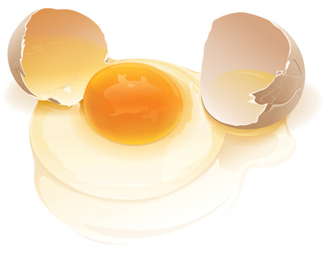 broken_egg-vector 殻が割れた生卵。無料ベクターイラスト素材