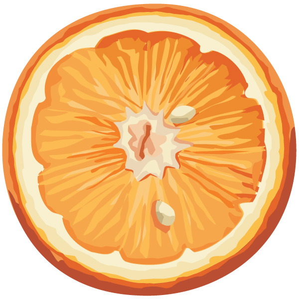 tropicalfruit 無料ベクターイラスト素材。カットオレンジのイラスト